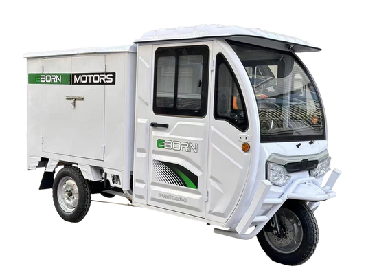 Eborn Cargo Cat 3-B (Box)